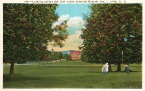 Vintage Postcard Looking Across Golf Links Esseola Inn Linville North Carolina