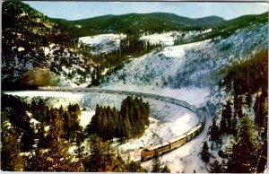 Postcard TRAIN SCENE State of Colorado CO AK9415