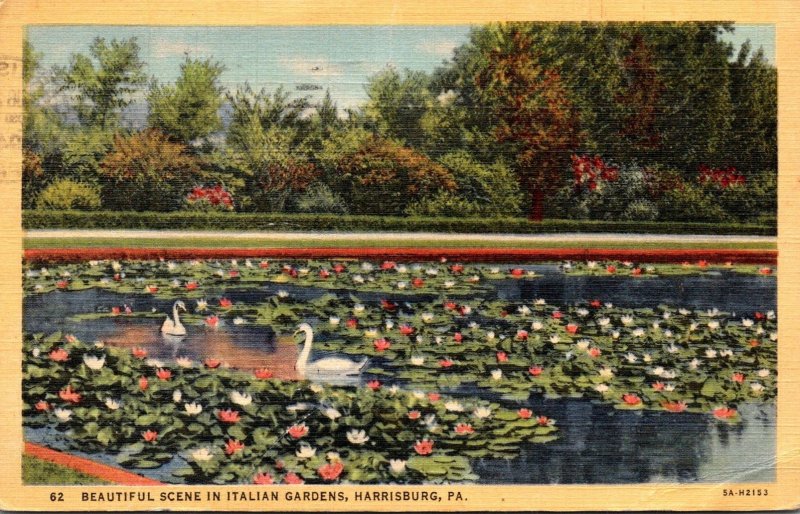 Pennsylvania Harrisburg Beautiful Scene In Italian Gardens With Swans 1944 Cu...