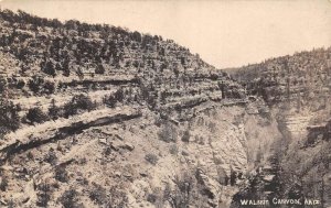 Walnut Canyon Arizona Birds Eye View Real Photo Vintage Postcard AA109459
