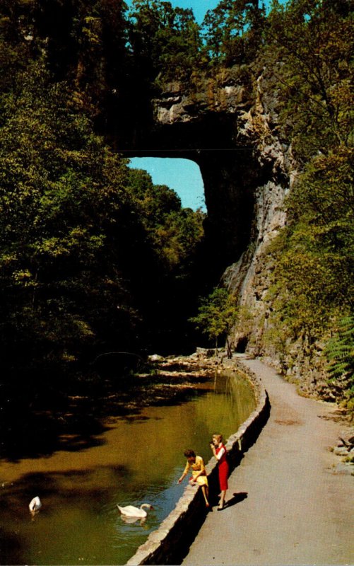 Virginia Natural Bridge