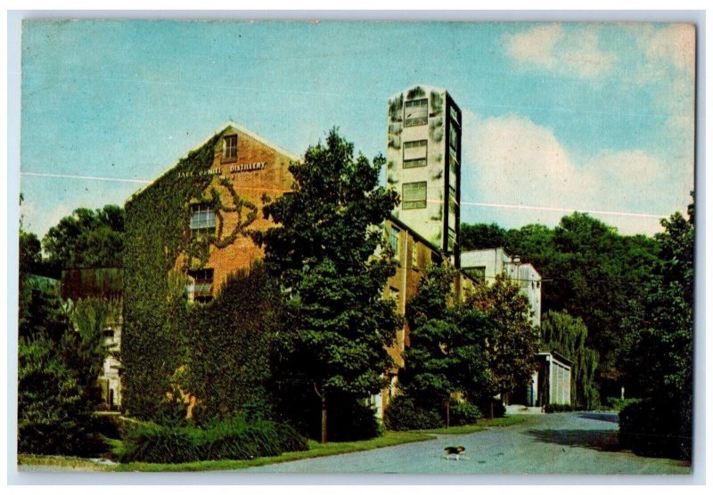 c1910's Jack Daniel's Hollow Distillery Lynchburg Tennessee TN Antique Postcard