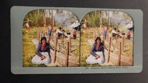 Mint Stereo Postcard Native Americans Chippewa Squaw Making Birch Canoe Indian