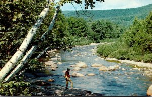 Fishing Trout Fishing