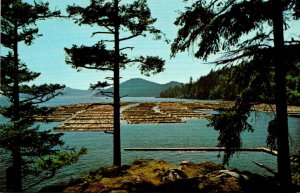 Canada Vancouver Island Log Booming Grounds