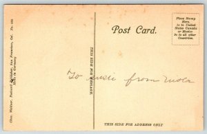 Golden Gate Park  San Francisco  California   Postcard  c1915