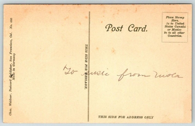 Golden Gate Park  San Francisco  California   Postcard  c1915