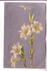 All Easter Joy, Lilies with Dove, Used 1908 Nova Scotia, Tuck