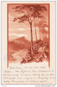 Tree-lined path, Mountain Range, Berlin, Germany, PU-1902