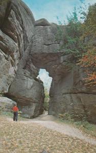 Looking at Three Sisters Rocks - Rock City Park, Olean NY, New York