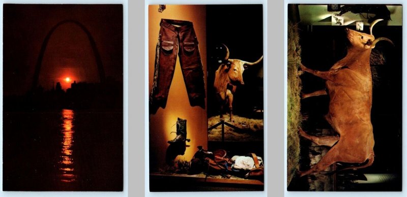 3 Postcards ST. LOUIS, Missouri MO~Sunset GATEWAY ARCH Cattle & Longhorn Display