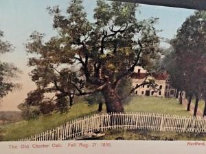 Postcard Antique View of  The Old Charter Oak in Hartford, CT   Y3