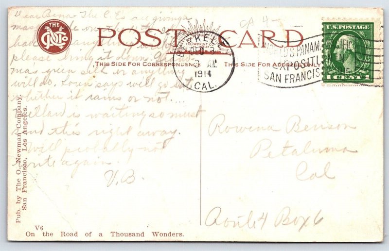 Postcard Bear Pit, Idora park,Oakland 1914 California