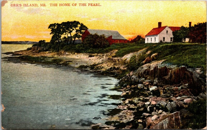 ORR'S ISLAND ME., HOME OF PEARL - ORR'S COVE,   Vintage  Postcard 1909