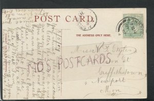 Genealogy Postcard - Styles - 23 Picton Street, Griffthstown, Newport  RF5449