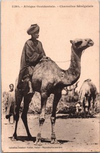 Senegal Dakar Native Senegalese Cameleer Camel Vintage Postcard 05.30