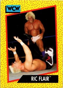 1991 WCW Wrestling Card Ric Flair sk21162