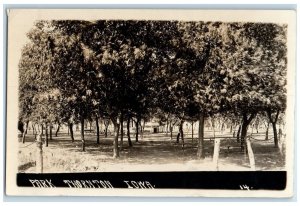 1912 View Of Park And Trees Thornton Iowa IA RPPC Photo Posted Antique Postcard