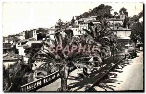 Postcard Modern Cote D & # 39Azur Bormes Vue Generale