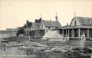 Odessa Michigan 1912 Postcard Lake Scene