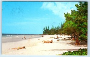 South Coast Beach Bathing Beauties BARBADOS West Indies Postcard