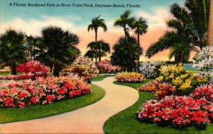 Florida Daytona Beach Flower Bordered Path In River Front Park