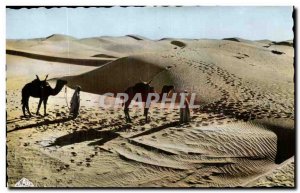 Algeria Postcard Scenes and Old Passage kinds of sun sand dunes