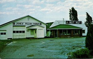 Missouri Brunswick James' Pecan Farms and The Nut Hut