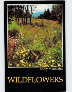 Postcard Wildflowers, Rocky Mountains