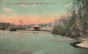 Peoria IL-Illinois, A Winter Snow Night in Glen Oak Park Nature Old Postcard