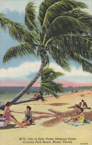 Florida Miami Crandon Park Beach Curteich 1954