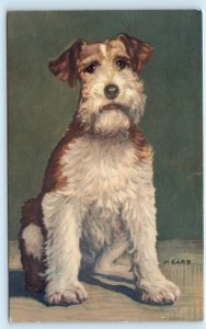 WIRE HAIRED FOX TERRIER Artist Signed D. Carr Alma Dog Portrait Postcard