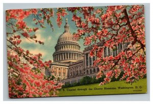 Vintage 1940's Postcard U.S. Capitol Through Cherry Blossoms Washington DC