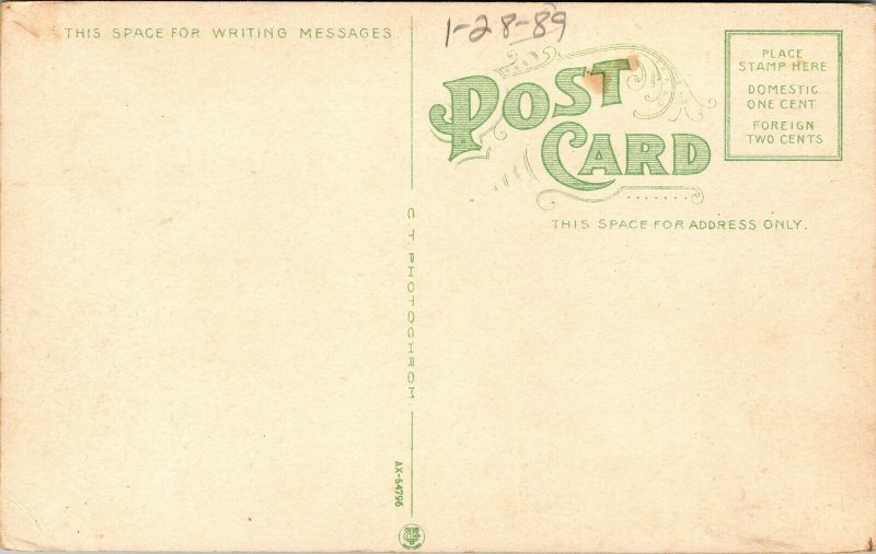 Vtg Newport Rhode Island RI Bleak House Residence of M.J. Perry 1910s Postcard