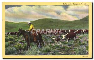 Postcard Ancient Indians Cattle on the range in Nevada