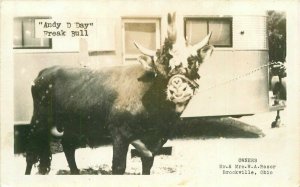 Brookville Ohio Andy D Day Freak Bull 1950s RPPC Photo Postcard 22-305