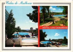 CPM ESPAGNE MALLORCA-Calas de Mallorca-Hotel Los Canarios (334103)