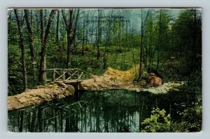 Middlesex Fells MA, Lover's Bridge, Vintage Massachusetts c1910 Postcard
