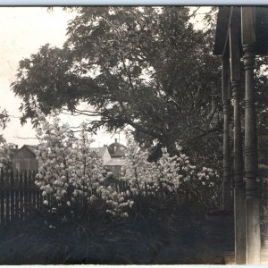 c1910s Charming House Front Yard RPPC Adam's Needle Flower Bloom Real Photo A143