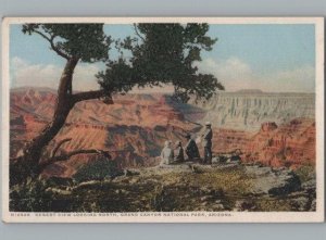 Desert View Grand Canyon FRED HARVEY White Border Phostint Postcard c1930