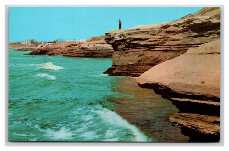 Sunset Cliffs San Diego California CA UNP Chrome Postcard D21