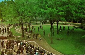 New York Long Island Elmont Belmont Park Walking Ring 1968