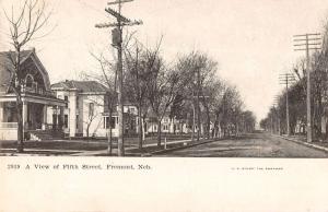 Fremont Nebraska Fifth Street Scene Historic Bldgs Antique Postcard K33181