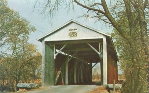 Vigo County Indiana Irishman's Covered Bridge Chrome Postcard Unused