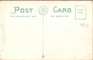 Riverside CA Eight Street Postcard unused 1900s/10s