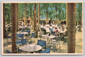 Largo Florida~Indian Rocks Fruits~Outdoor Garden Dining Room~Vintage Postcard