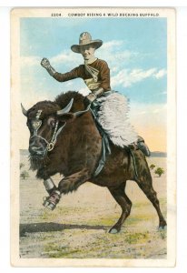 Cowboy Riding a Wild Bucking Buffalo