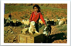 Postcard - Little Navajo girl, Navajo Indians