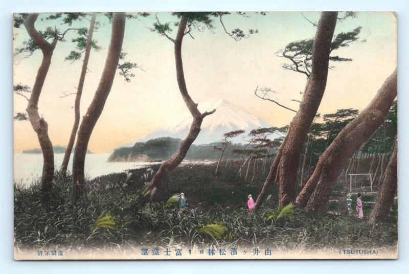 Postcard Japan Tsuyusha Forest Mount Fuji c1912 Hand Tinted Colored L03