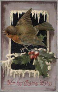 Christmas Bird Holly Snow Embossed Winsch c1900s-20s Postcard